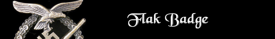 Flak badge banner