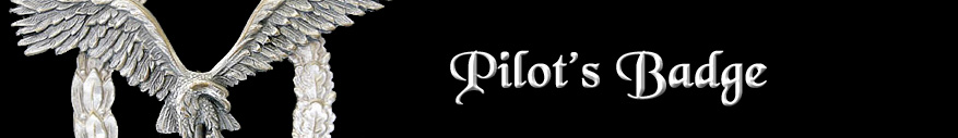 Pilot badge banner