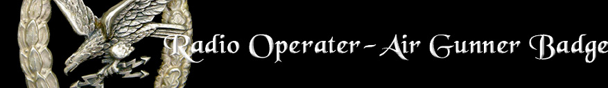 Radio Operator/Air Gunner banner